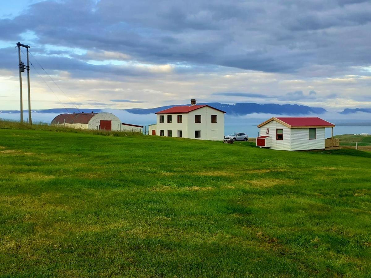 Skarth Guesthouse Saudarkrokur エクステリア 写真