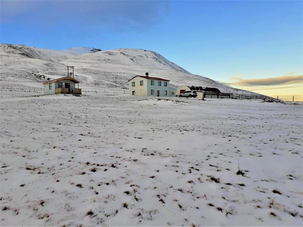 Skarth Guesthouse Saudarkrokur エクステリア 写真